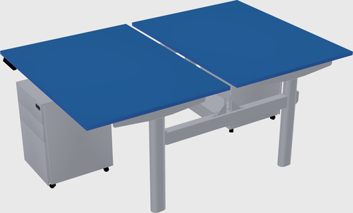 Shared electric desk