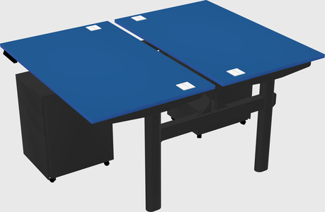 Shared electric desk