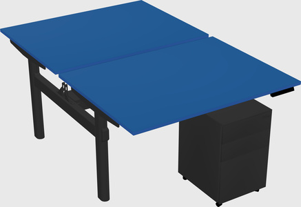 Shared electric desk