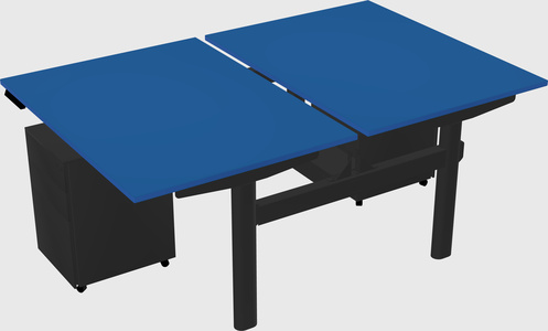Shared electric desk