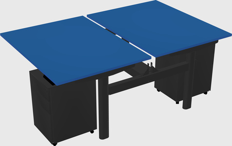 Shared electric desk