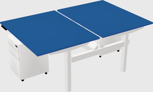 Shared electric desk