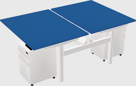 Shared electric desk