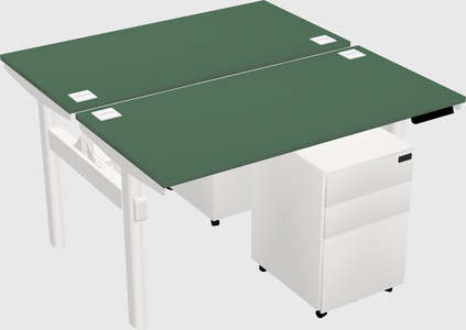 Shared Electric Desk