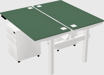 Shared electric desk