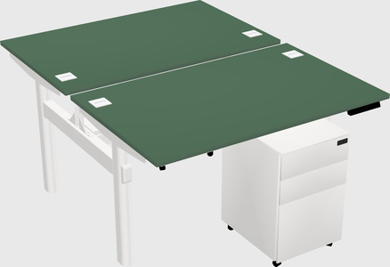 Shared Electric Desk