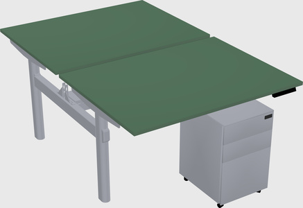 Shared electric desk
