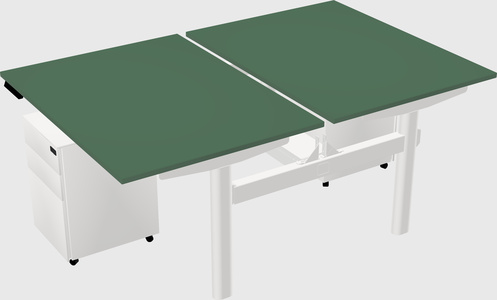 Shared electric desk