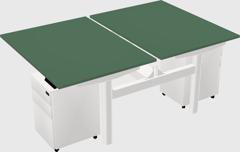 Shared electric desk