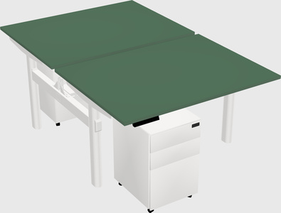 Shared electric desk