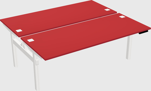 Shared electric desk