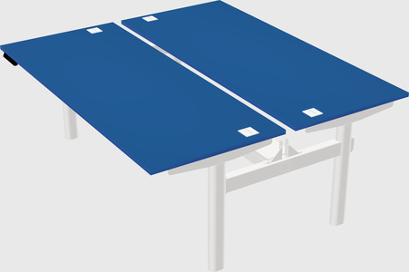 Shared electric desk