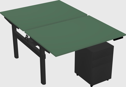 Shared electric desk