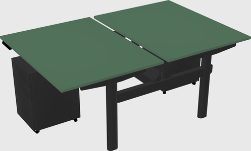 Shared electric desk