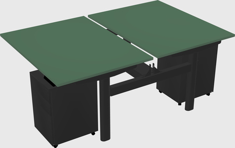 Shared electric desk