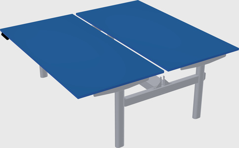 Shared electric desk