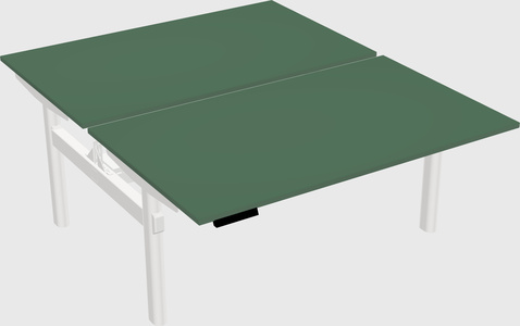Shared electric desk