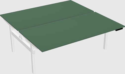 Shared electric desk