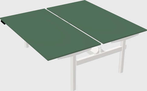 Shared electric desk