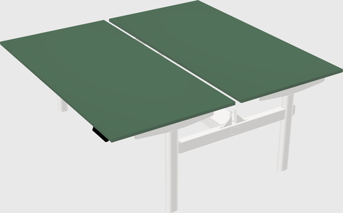 Shared electric desk