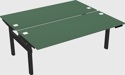 Shared electric desk