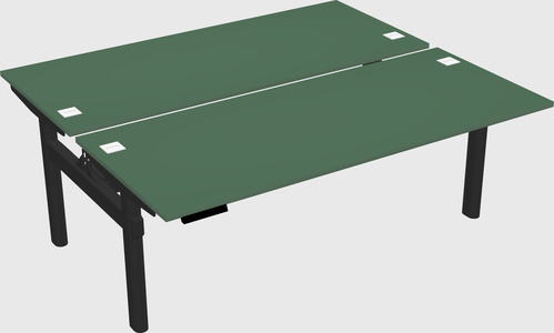 Shared electric desk