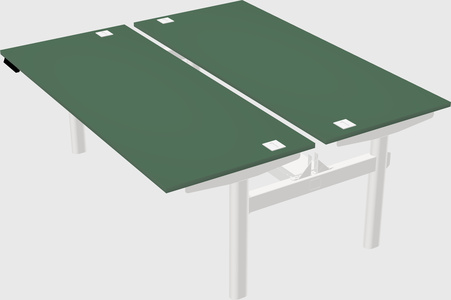 Shared electric desk