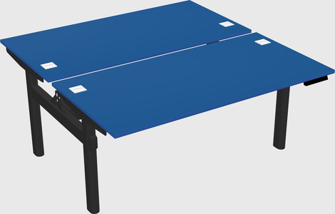Shared electric desk
