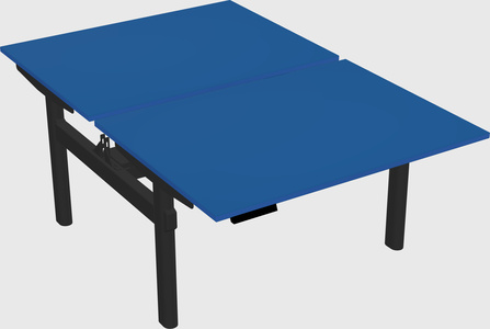 Shared electric desk