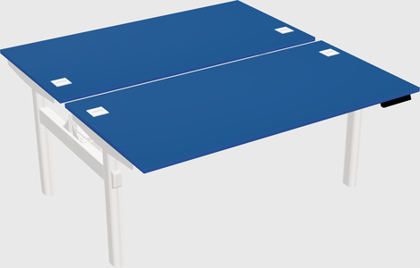 Shared electric desk