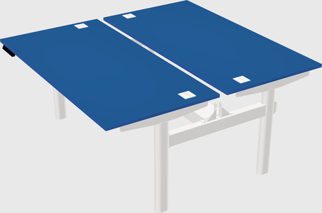 Shared electric desk
