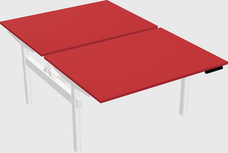 Shared electric desk
