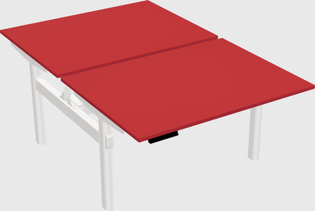 Shared electric desk
