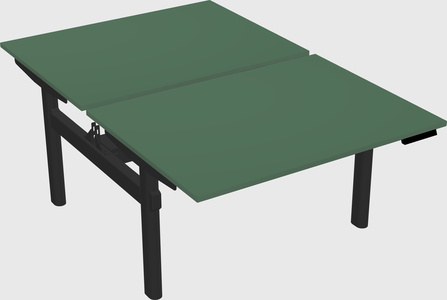 Shared electric desk