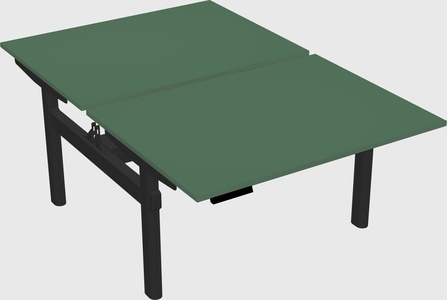 Shared electric desk