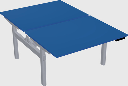 Shared electric desk