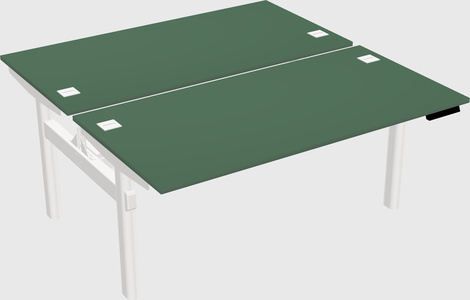 Shared electric desk