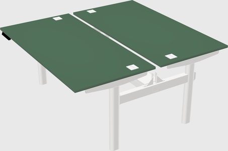 Shared electric desk