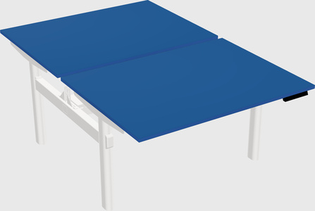Shared electric desk