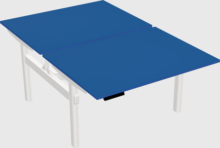 Shared electric desk