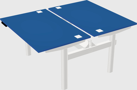 Shared electric desk