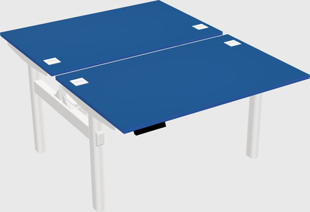 Shared electric desk