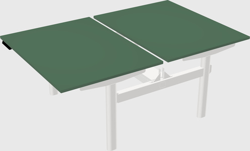 Shared electric desk