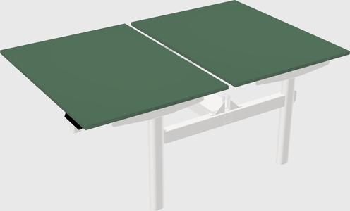 Shared electric desk