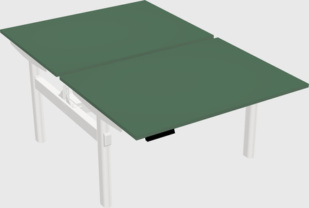 Shared electric desk