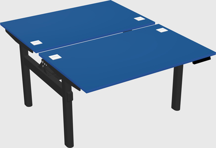 Shared electric desk