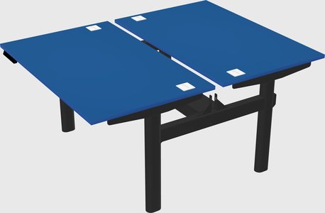 Shared electric desk