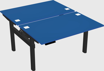 Shared electric desk