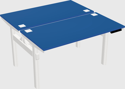 Shared electric desk