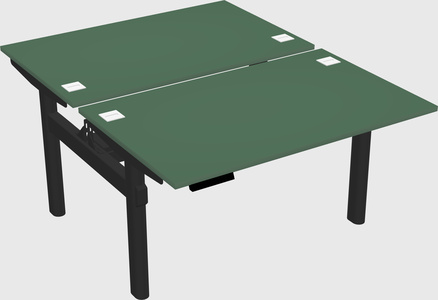 Shared electric desk